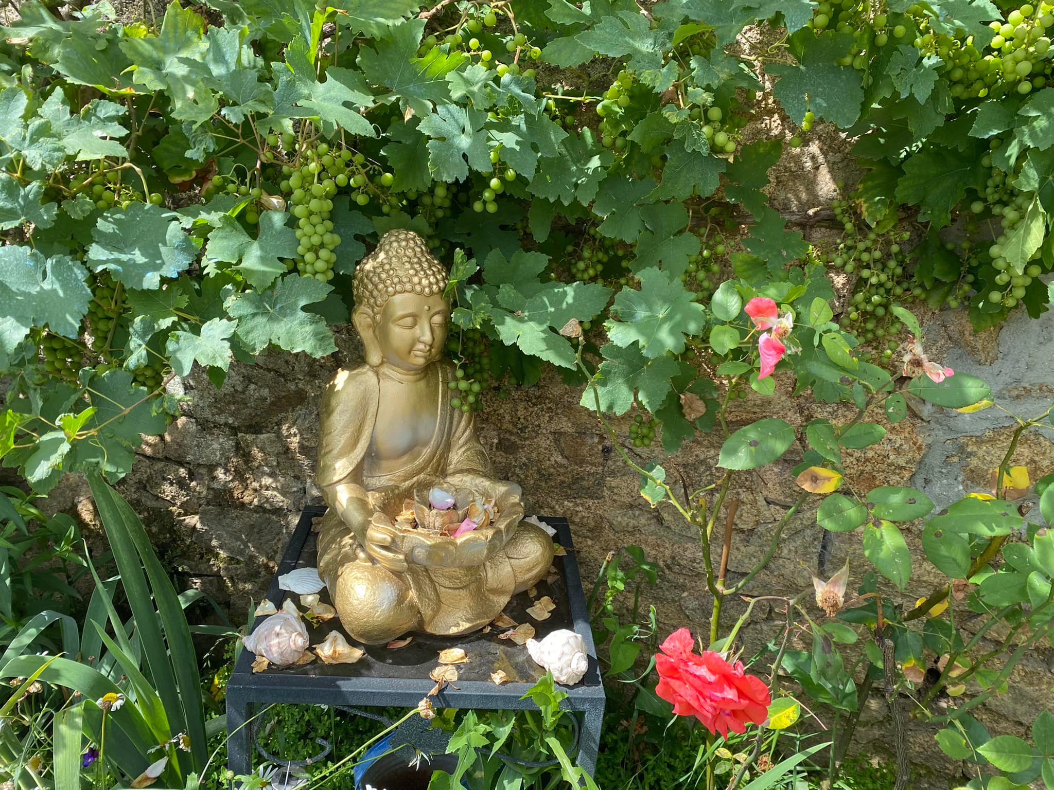 bouddha décoration fleurs